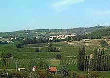 terroir de l'appellation Côtes du Rhône dans l'Enclave des Papes et le département de Vaucluse