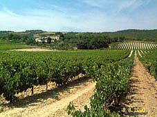 terroir de l'appellation Vinsobres en région Rhône Alpes et dans le département de la Drôme